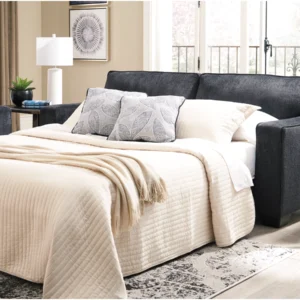 sleeper sofa