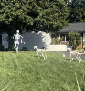 dog skeletons chasing human skeleton