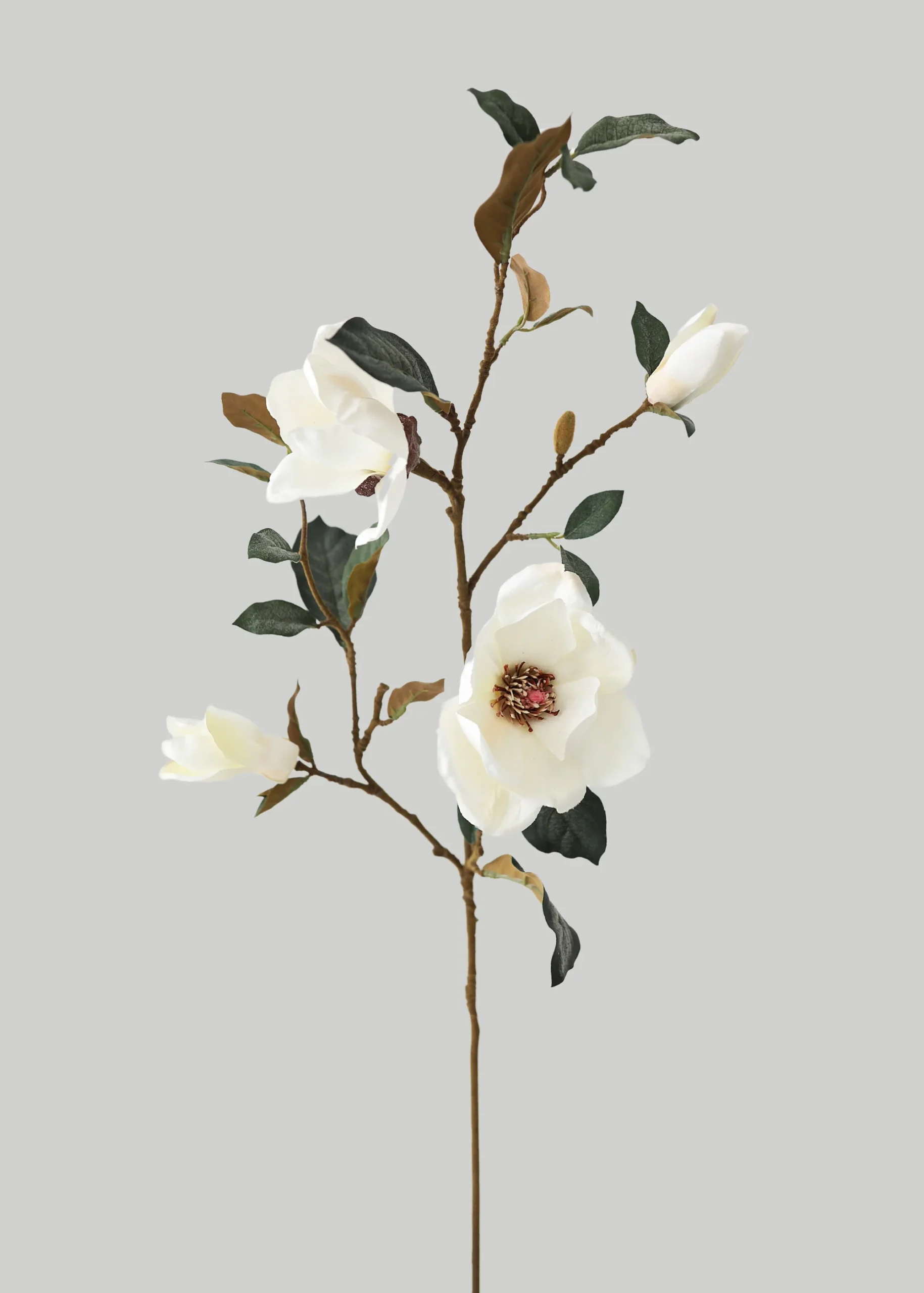 Magnolia Stem 35" - Image 2