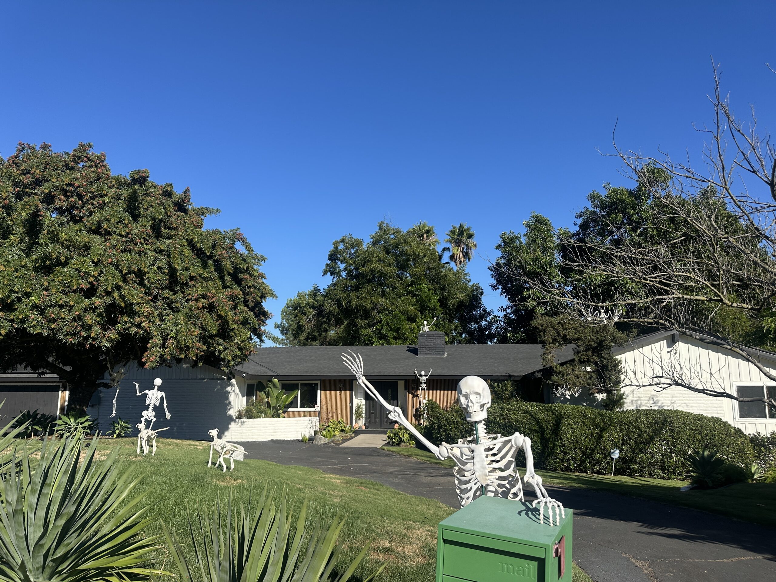 how to pose skeletons in your yard